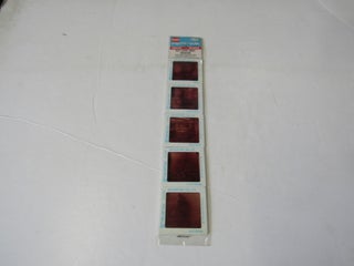 Item #2952 5 Pana-Vue Travel Slides From Old Slave Museum, Charleston SC