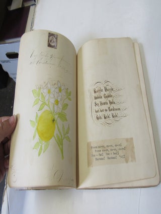 Yearbook, Class of 1893, Eastman College