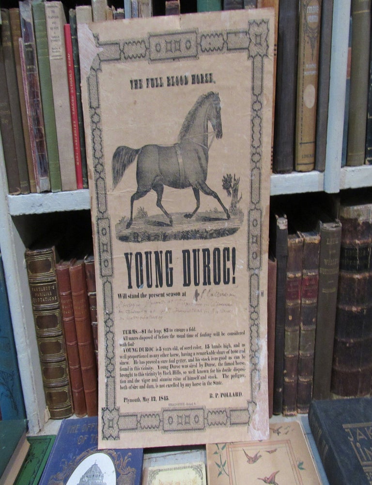 Item #3725 The Full Blood Horse Young Duroc Broadside